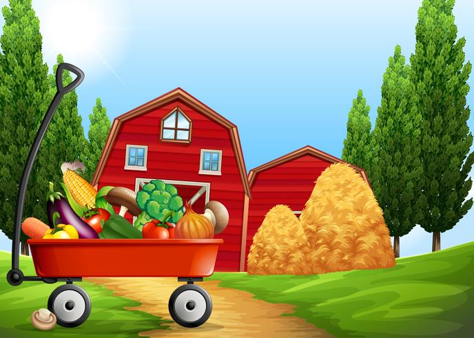 Fresh products on the farm vector