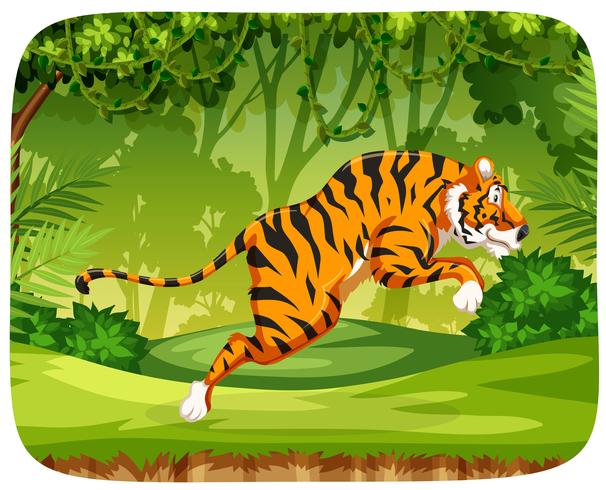 Un tigre saltando en el bosque vector