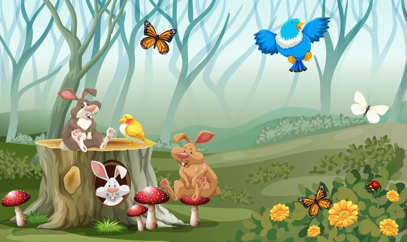 Rabbits and birds living in the forest vector