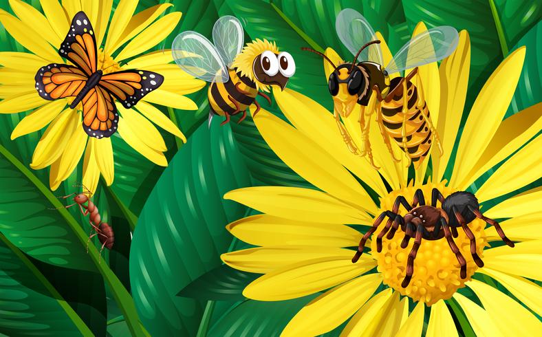 Diferentes tipos de insectos volando alrededor de flores amarillas. vector