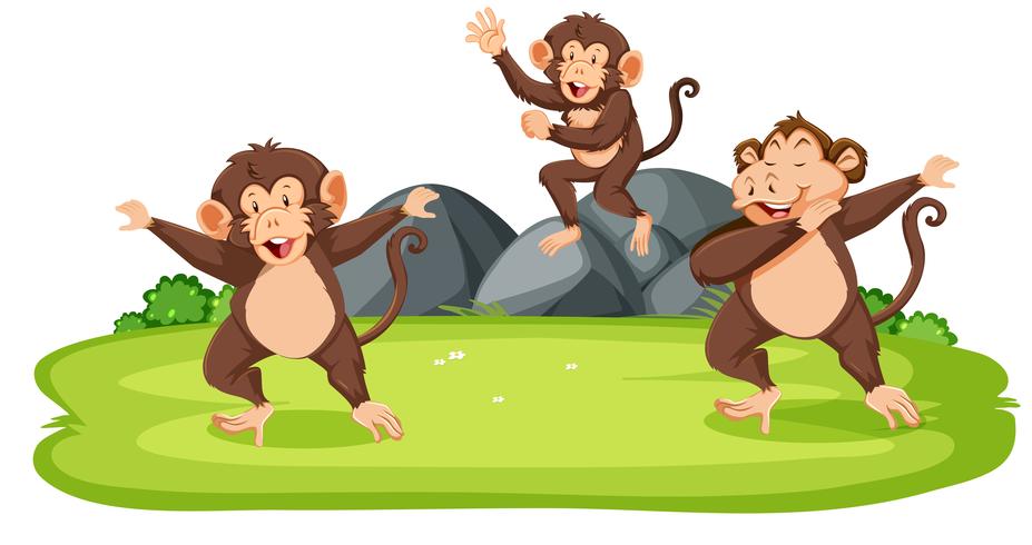 Monos en la naturaleza vector