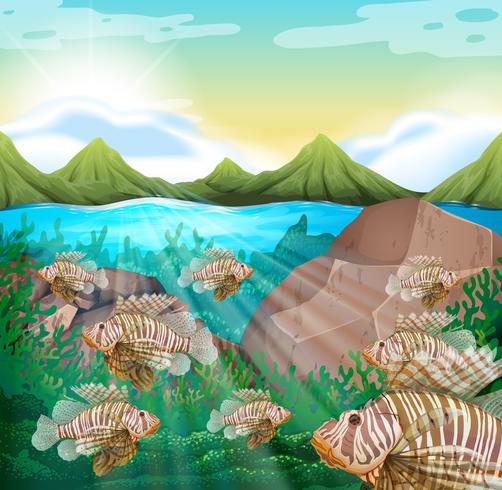 Ocean scene with lion fish underwater vector