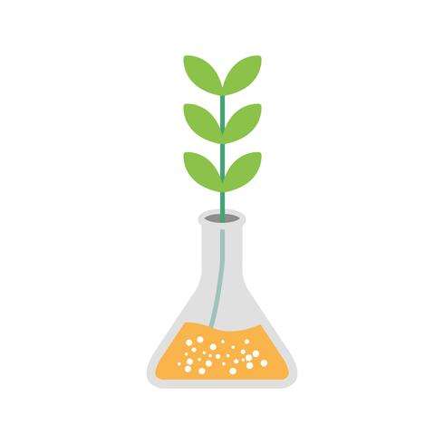 Experiment Growth Vector Icon