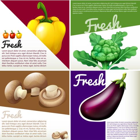 Cartel de infografía con verduras frescas. vector