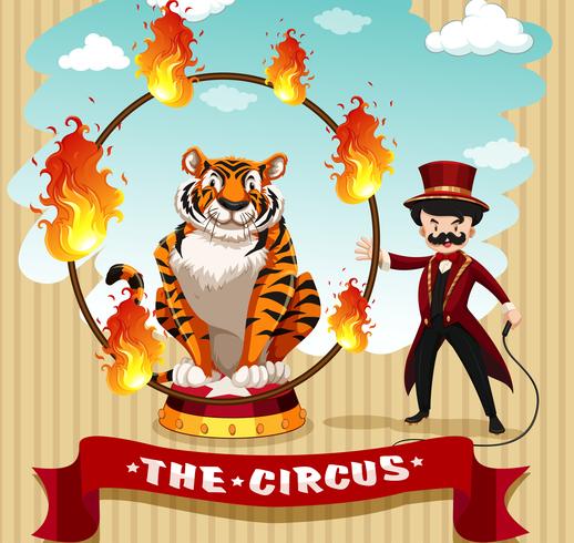 Tiger in fire hoop y ring master. vector