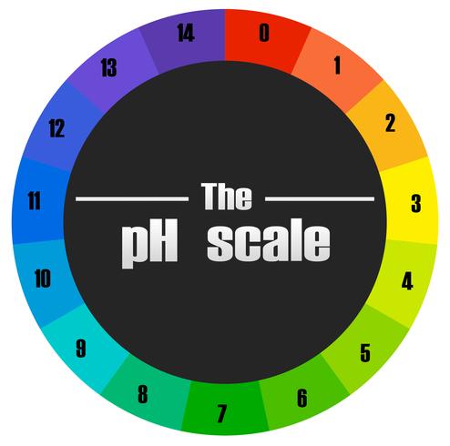 El circulo de la escala de ph vector