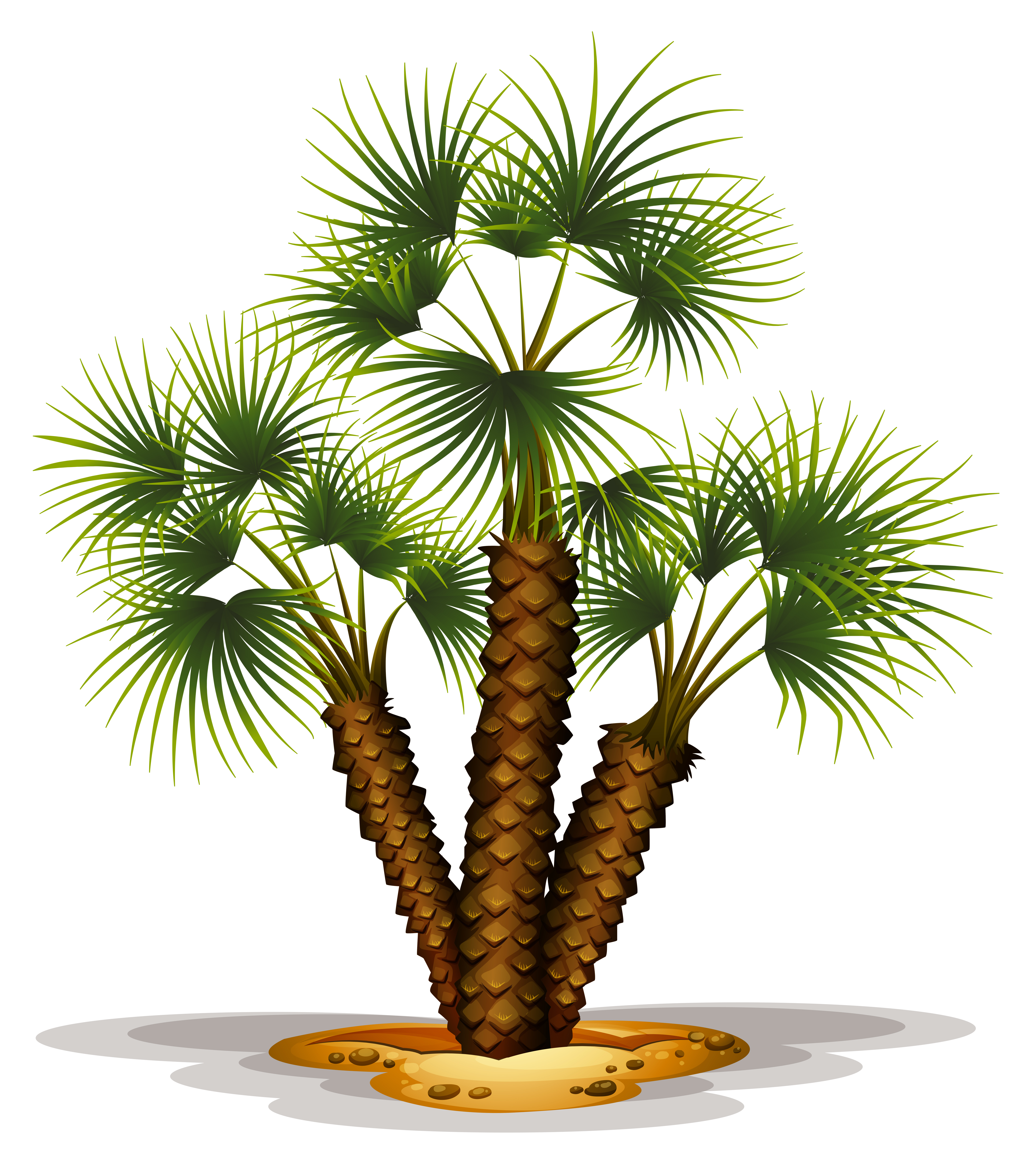 Palm Tree PNG Image - PurePNG | Free transparent CC0 PNG 