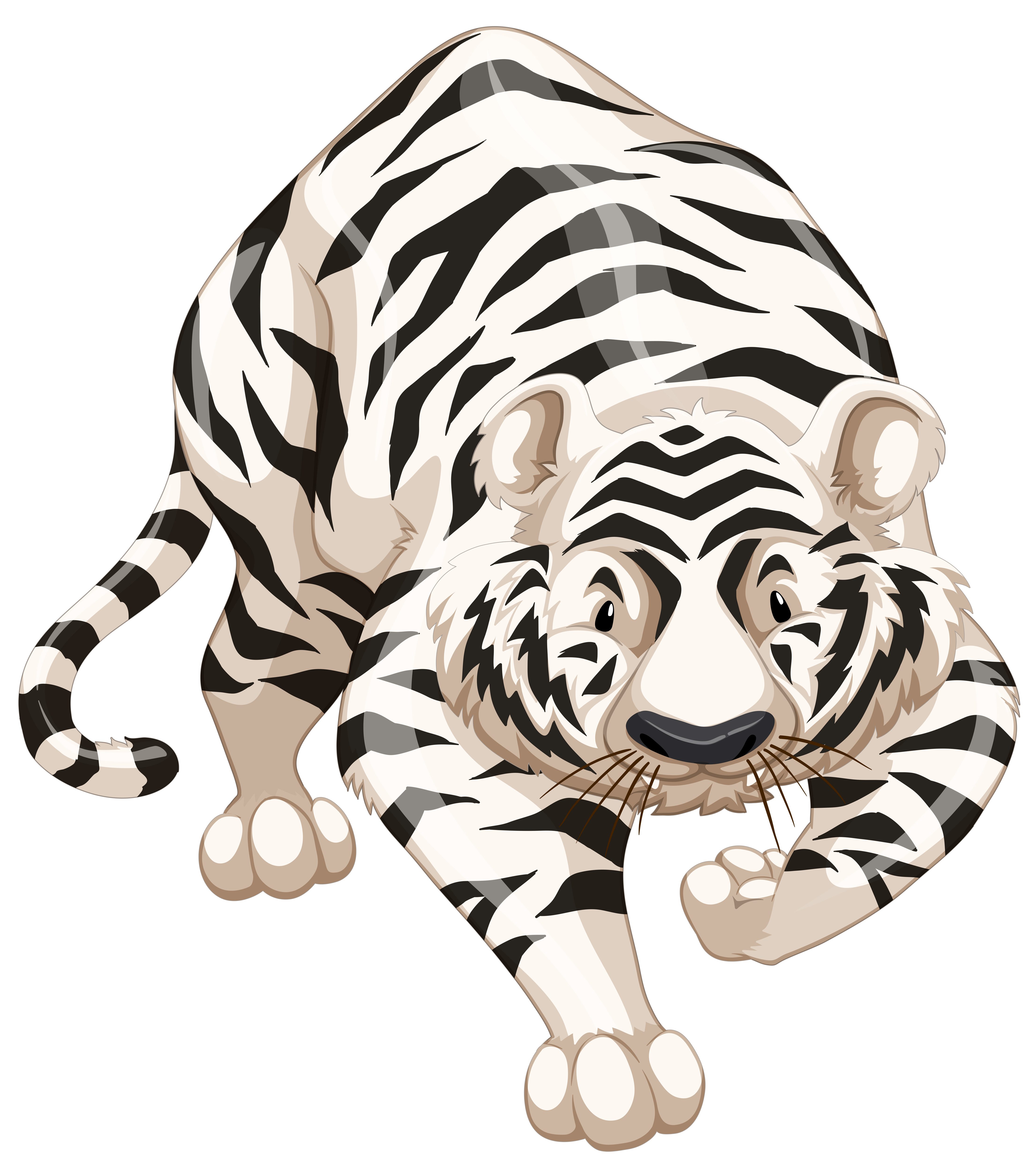 White tiger 367189 Vector Art at Vecteezy