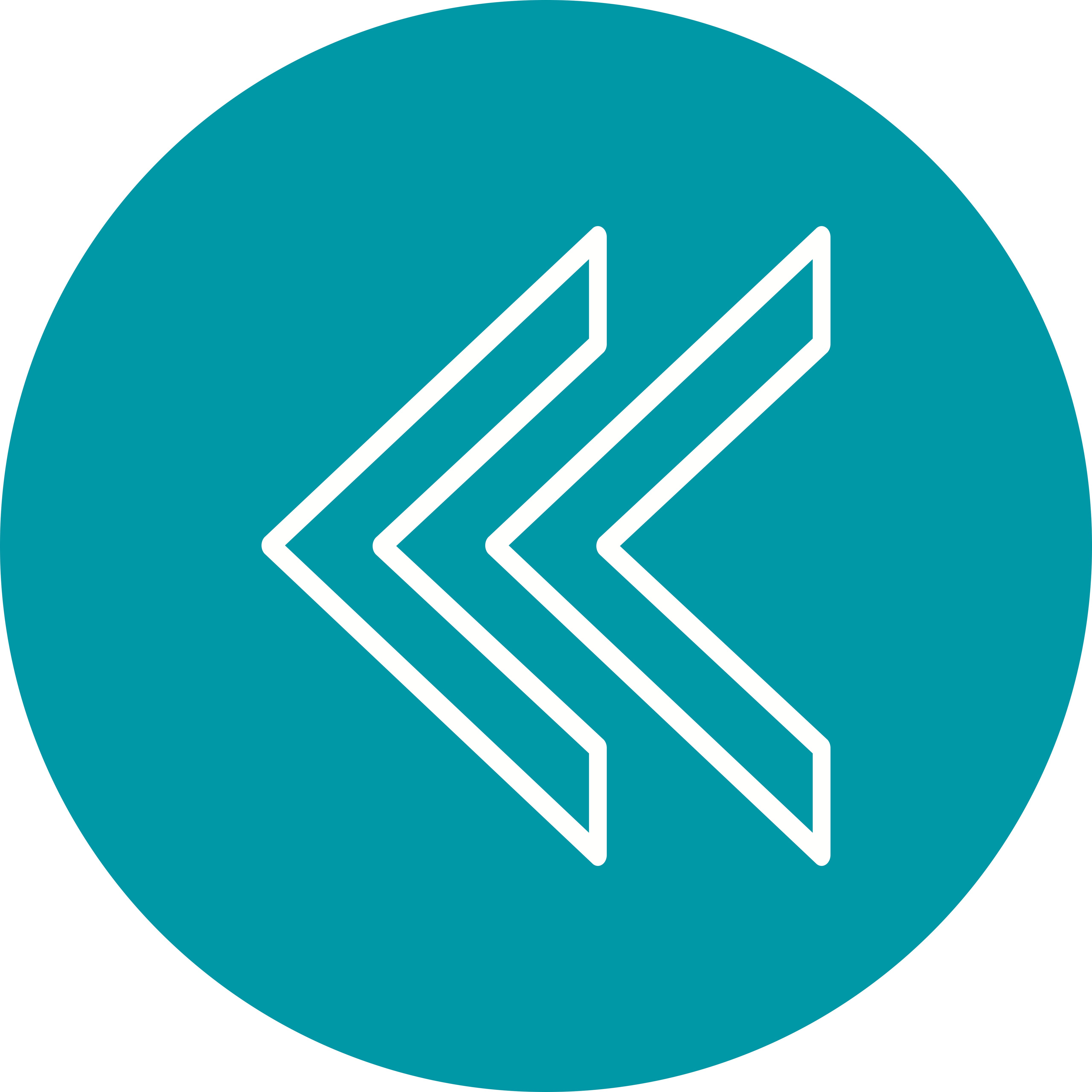 Forward vector