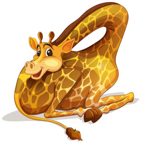 Cute giraffe folding its neck vector