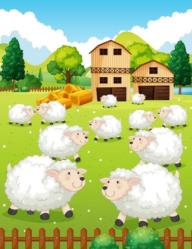 Lots of sheeps in the farm vector