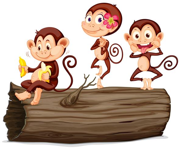 Three monkeys on the log vector