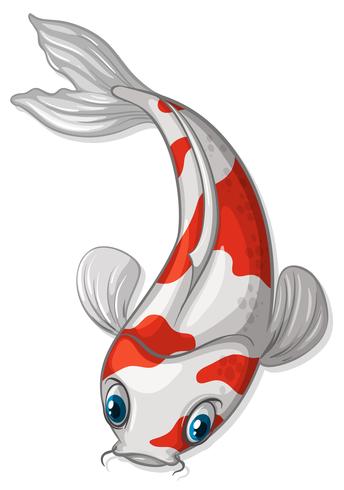 Koi vector