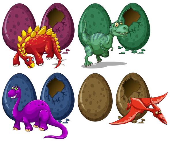 Diferentes tipos de dragones y huevos. vector