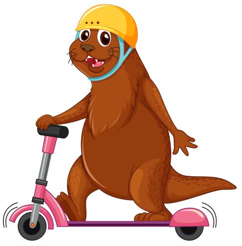 Otter playing kick scooter vector