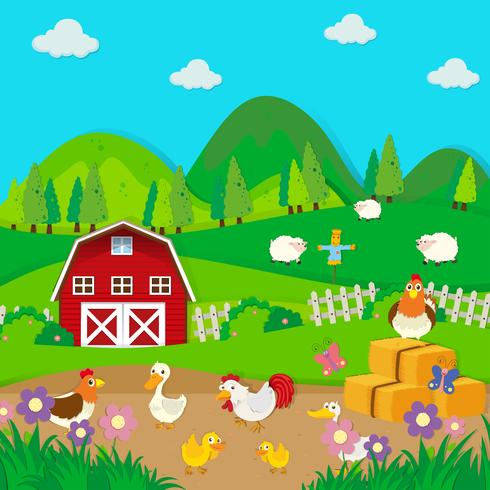 Chickens and ducks on the farm vector