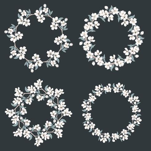 Set collection of floral frames. Chamomile and forget me-not-flowers round pattern on black background. vector