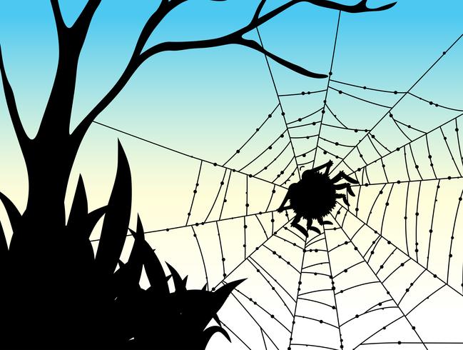 Silhouette spider on web vector