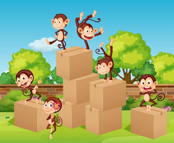 Monkeys climbing up the boxes vector