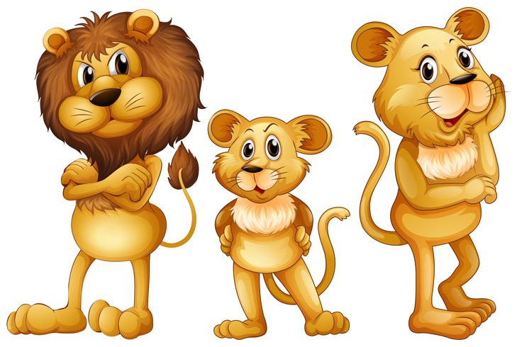 Lion family standing together vector