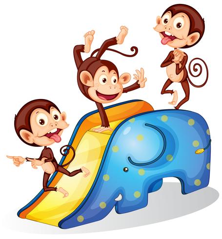 Monkeys and slide vector