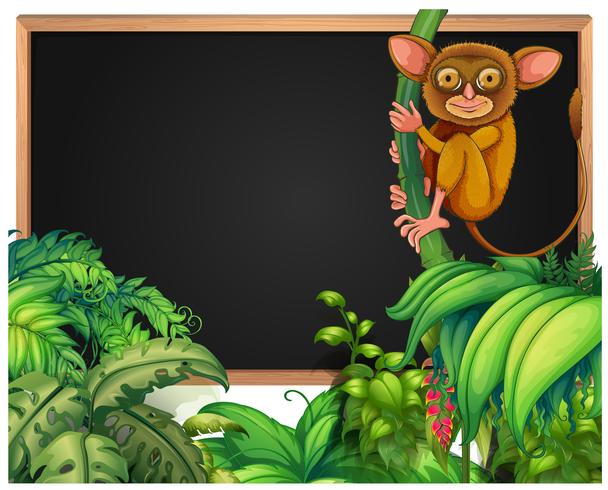 Frame template with little loris vector