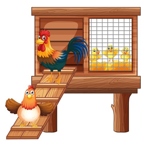 Chicken and chicks in coop vector