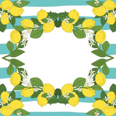 Plantilla de tarjeta con el texto. Marco tropical de las frutas del limón de las frutas cítricas en el fondo linear de los azules turquesa del vintage. vector