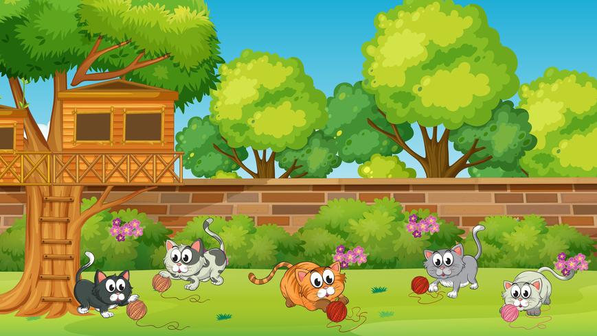 Five kittens playing in the garden vector