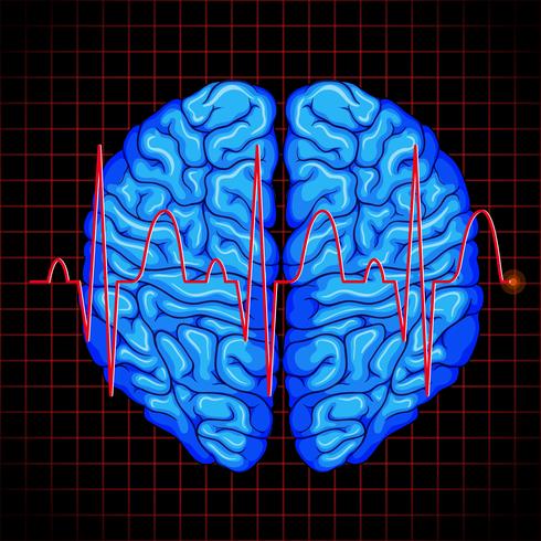 Cerebro humano y gráfica cerebral en grillas vector