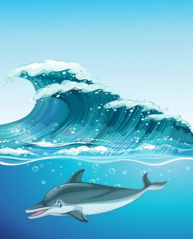 Dolphin swimming under the ocean vector