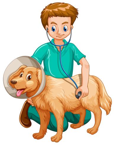 Vet examining pet dog vector