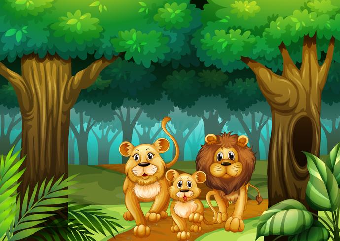 Familia de leones viviendo en el bosque. vector