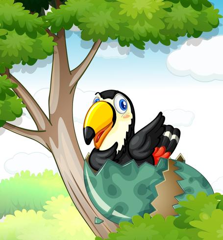 Toucan bird hatching egg on tree vector