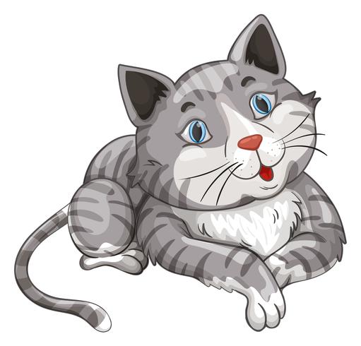 Gato gris sobre fondo blanco vector