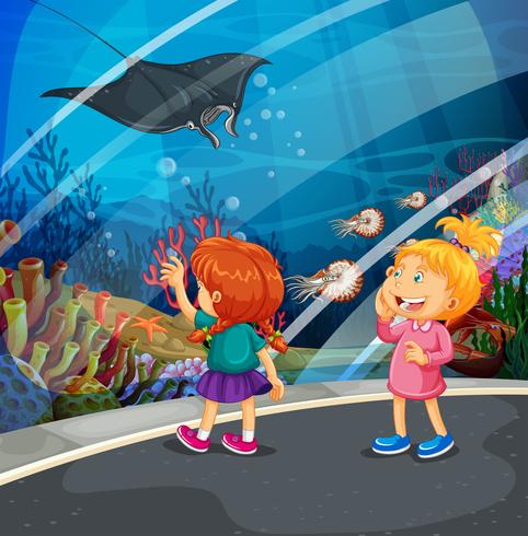 Two girls looking at stingray at the aquarium vector