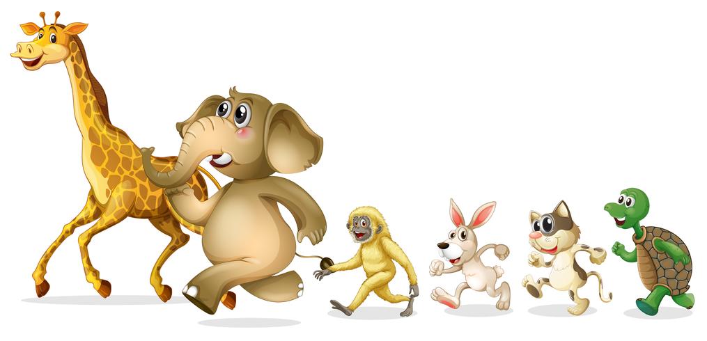 Group of wild animal on white background vector