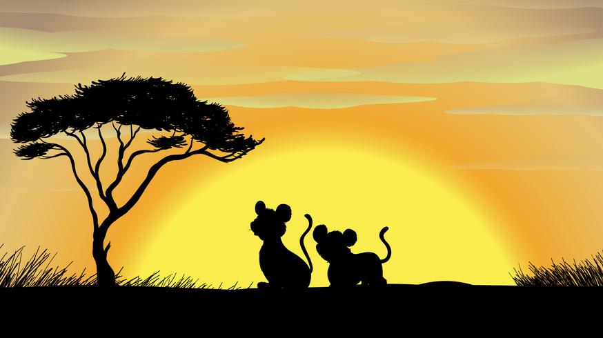tiger and cub in a beautiful nature vector