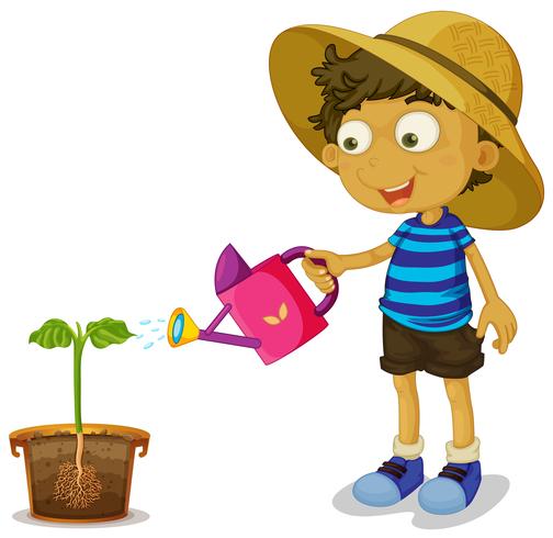 Boy watering plant on white background vector