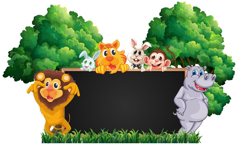 Blackboard with many animals in park vector