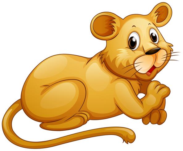 Cute lion with happy face vector