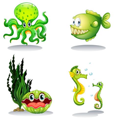 Sea animals in green color vector