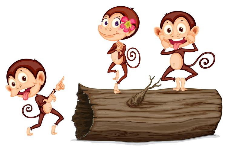cartoon monkey vector