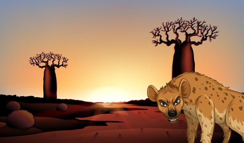 Hyena in the field vector