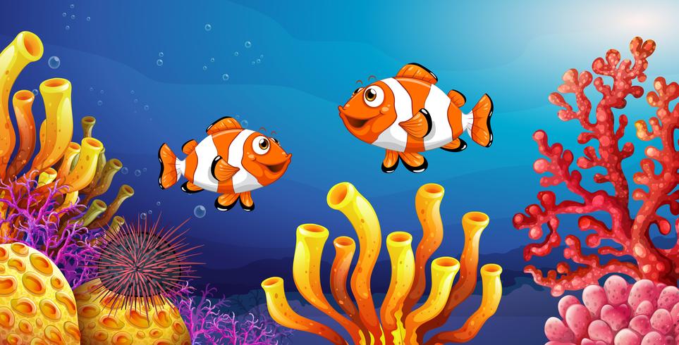 Underwater scene with clownfish and sea urchin vector