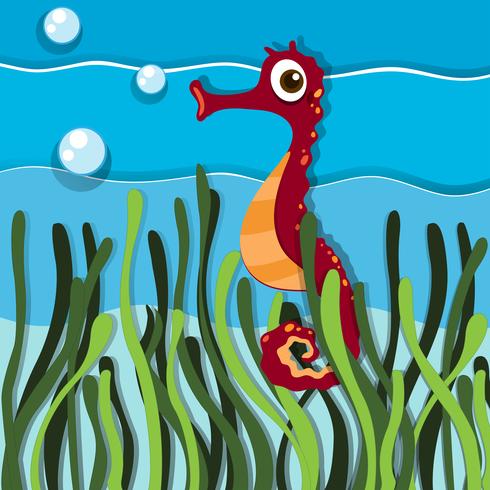 Seahorse swimming under the ocean vector