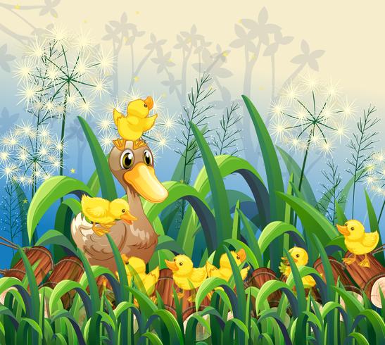 Little ducklings in garden vector