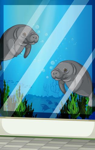 Seacows swimming under the sea vector