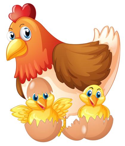 Mother hen and two chicks in eggs vector