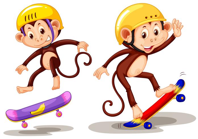 Two monkeys playing skateboard vector